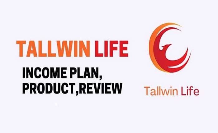 tallwin life logo